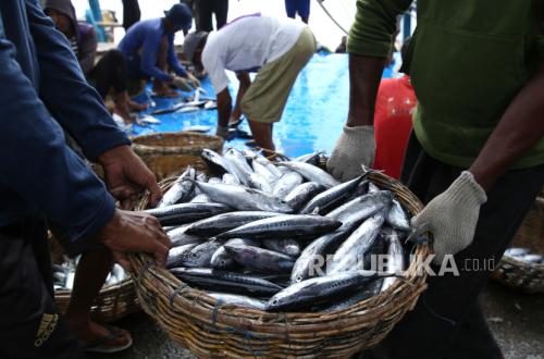 KKP Jamin Stok Ikan Aman Selama Ramadhan hingga Idul Fitri | Equityworld Futures